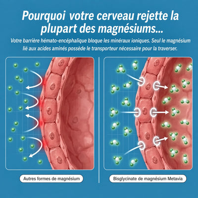 Metavia Bisglycinate Magnésium